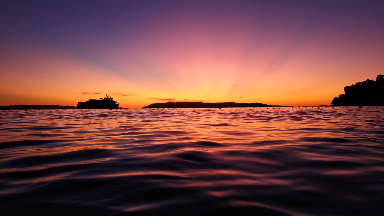 I’ve matured to this decision and... started my own business